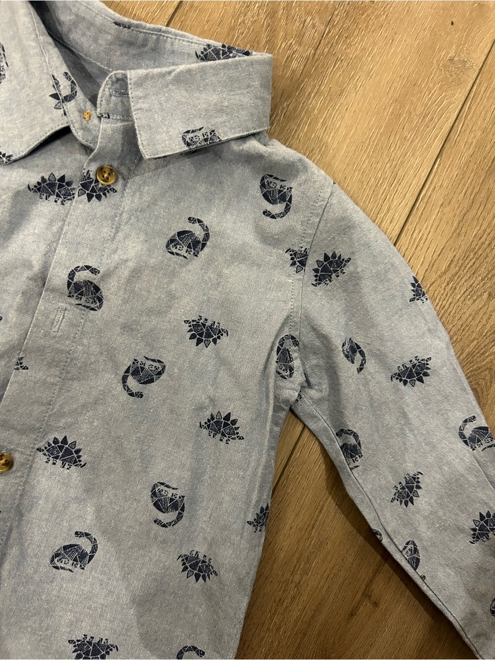 PL Kids - Toddler Boys' Light Blue Printed Button-Up Shirt - 2T
